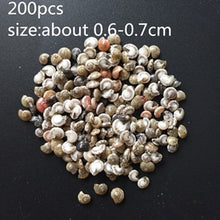Load image into Gallery viewer, HappyKiss 0.9-1.5cm 100pcs/lot Natural conch shells mini conch corn screw wall decoration DIY aquarium landscape seashells