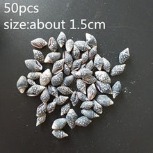 Load image into Gallery viewer, HappyKiss 0.9-1.5cm 100pcs/lot Natural conch shells mini conch corn screw wall decoration DIY aquarium landscape seashells