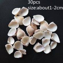 Load image into Gallery viewer, HappyKiss 0.9-1.5cm 100pcs/lot Natural conch shells mini conch corn screw wall decoration DIY aquarium landscape seashells