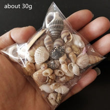 Load image into Gallery viewer, HappyKiss 0.9-1.5cm 100pcs/lot Natural conch shells mini conch corn screw wall decoration DIY aquarium landscape seashells
